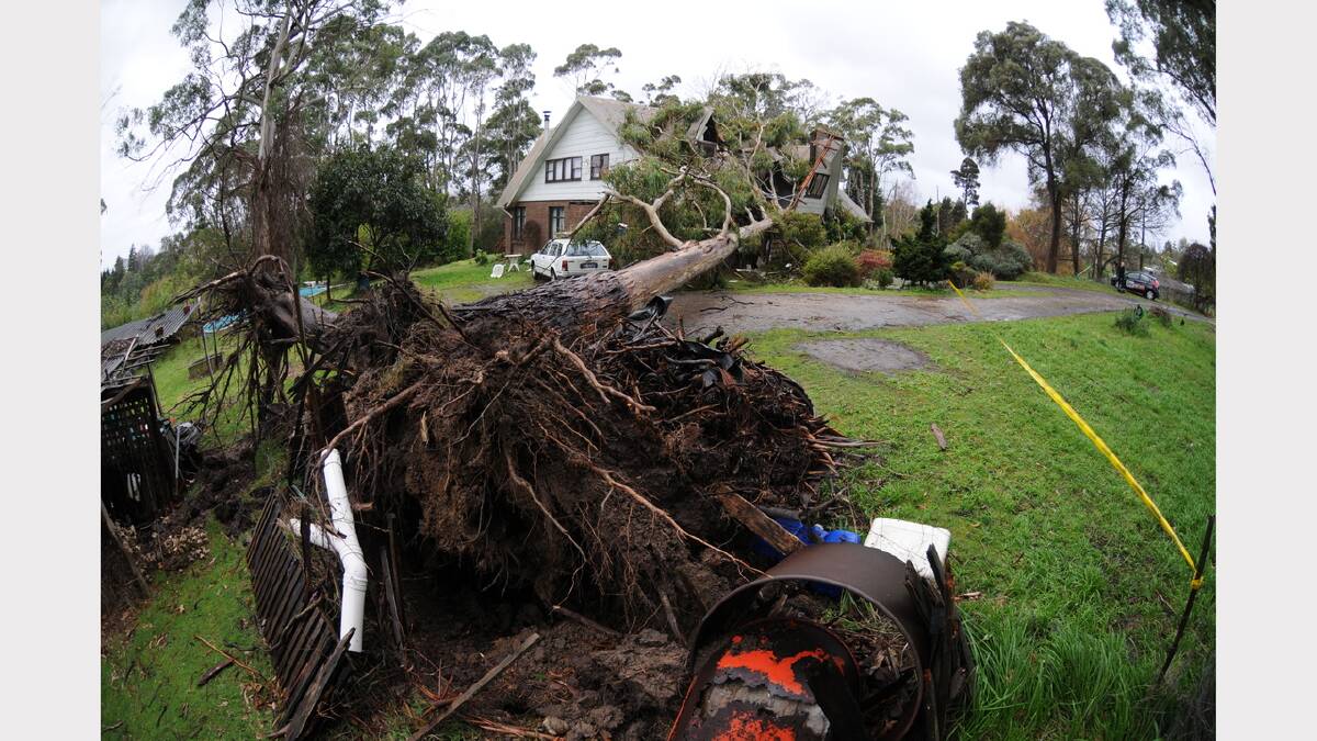 B&B property Cheamside on Main Road , Exeter, with a fallen gum tree through the house in July 2014.