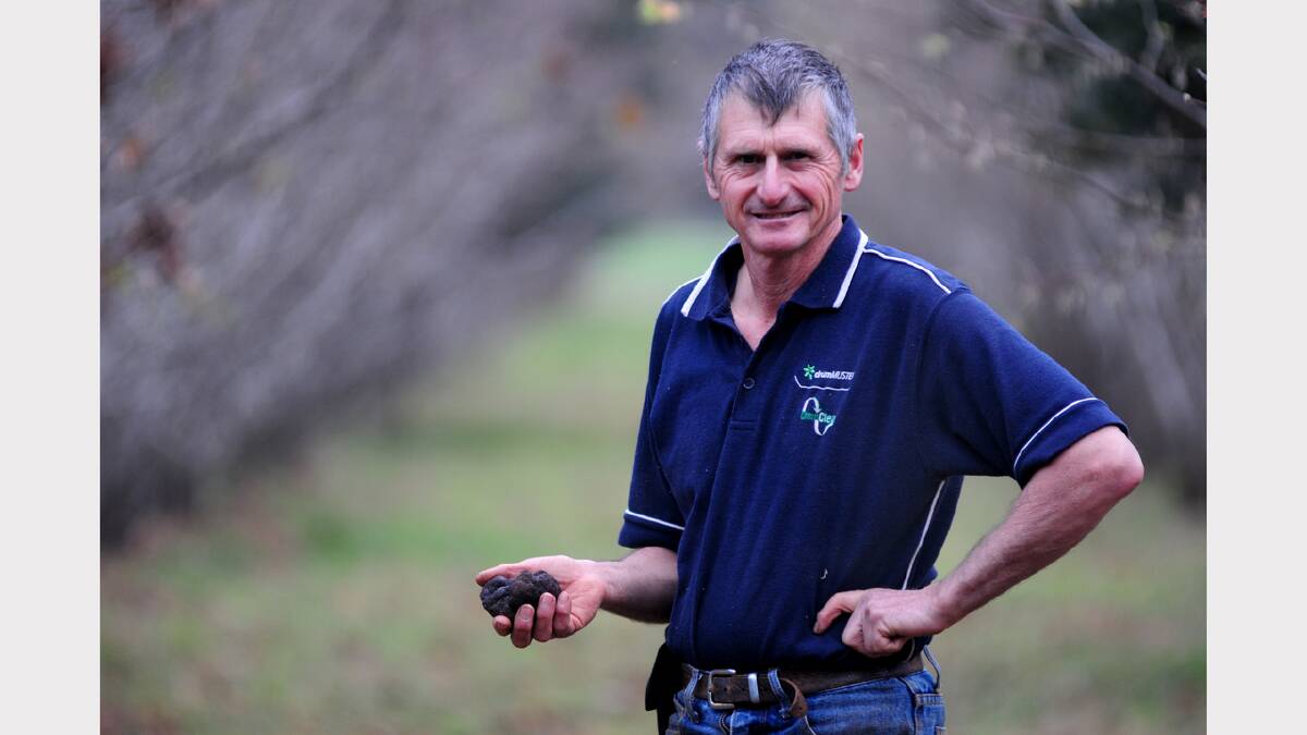 Nevil Reed, of Four Springs Produce at Selbourne, with the property's first truffle for the season. Picture: Peter Sanders