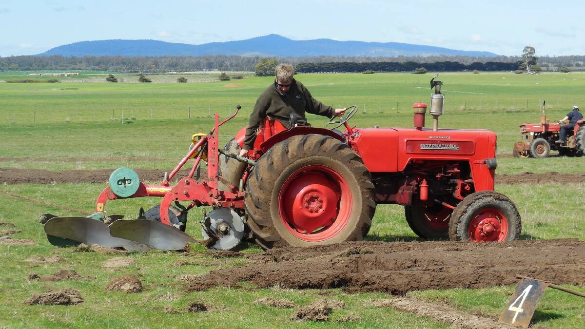 Alan Prewer sets up his tractor before this weekend's Tasmanian ploughing championships.