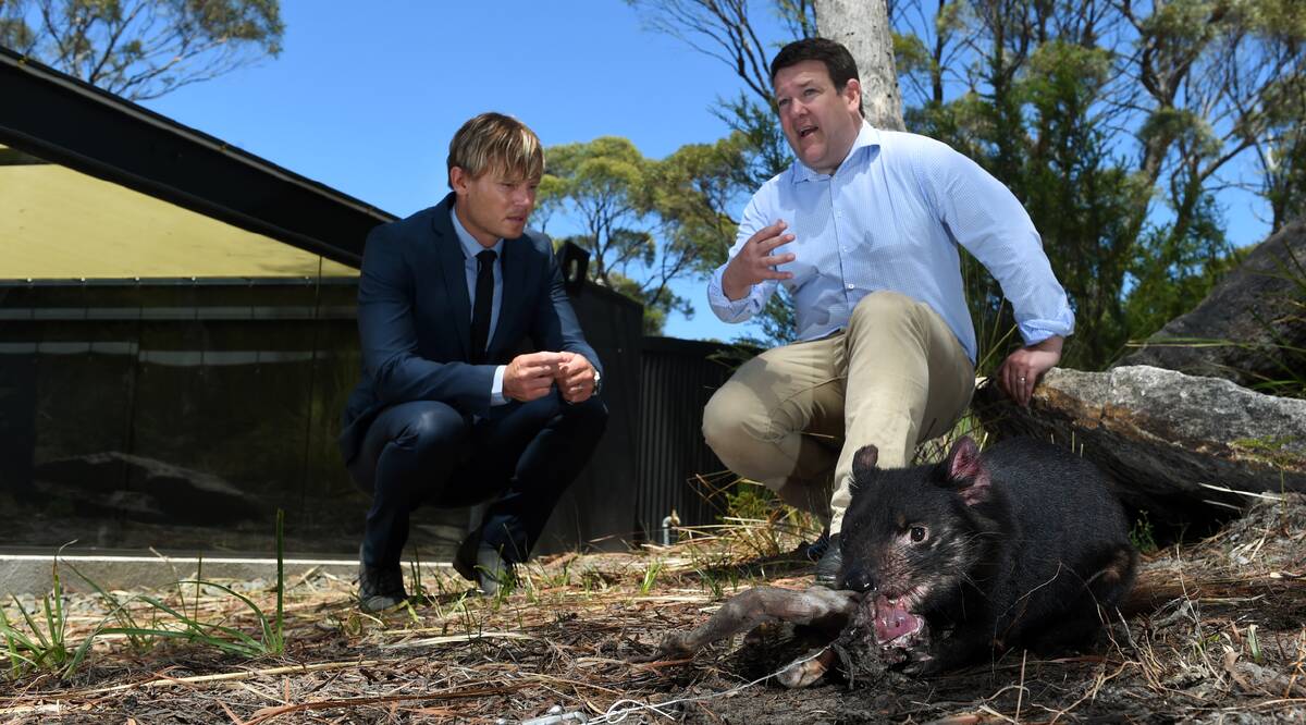Federal Group general manager, tourism, Matt Casey and Environment Minister Matthew Groom with Murray the Tasmanian devil at Saffire Freycinet's new devil enclosure. Picture: MARK JESSER