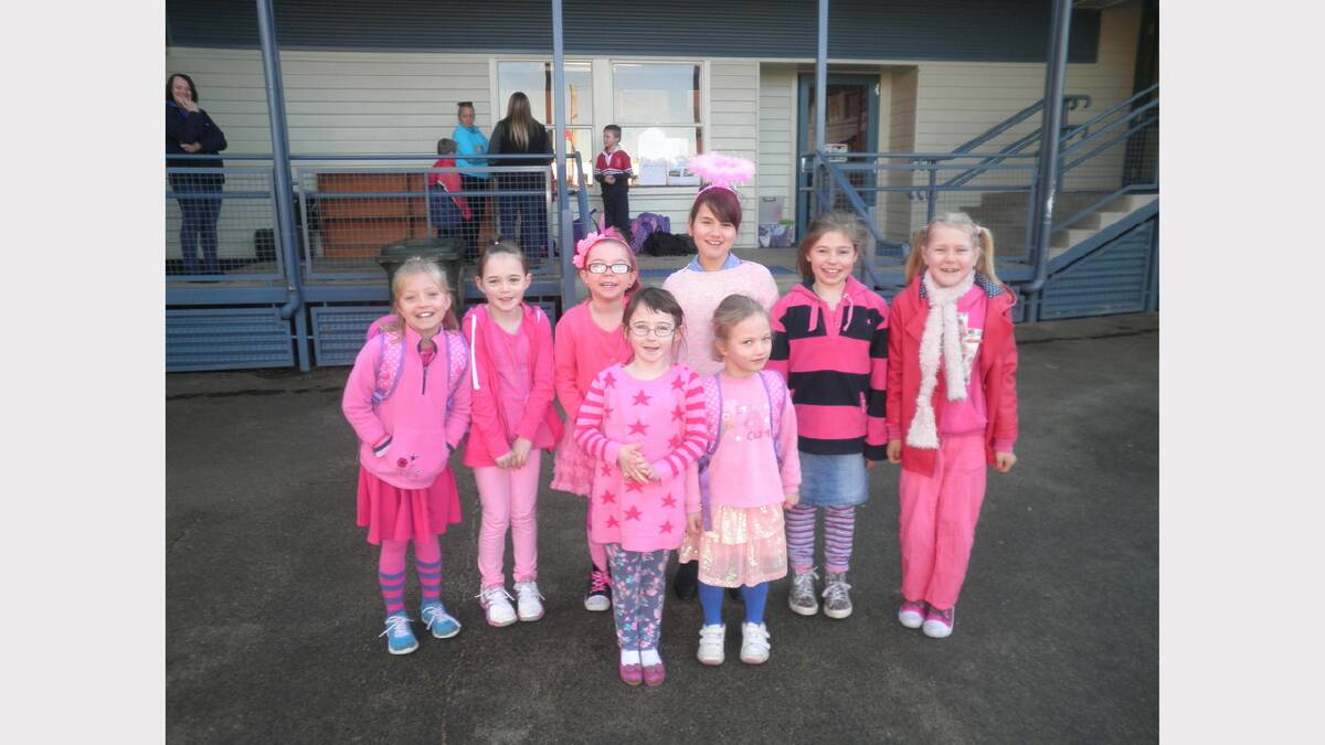 Cressy District High School pupils Alexies Glover, Courtney Goss, Indi Bowles, Ally Green, Georgie Shaw, Taylor Cook, Lucy Glover and Sherenia Glover don pink in the name of breast cancer awareness.