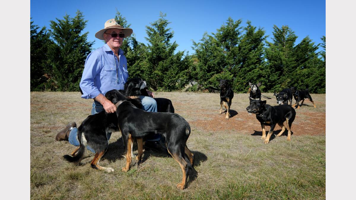 Kevin Howell with some of his working dogs.