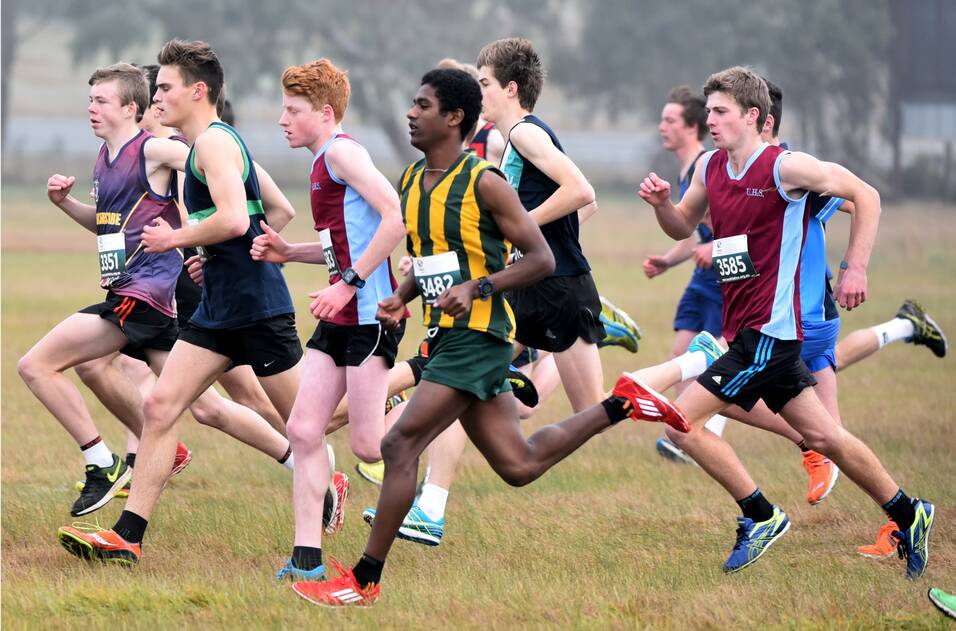 St Patrick's College runner Getasew Ferguson bounds through the field, on his way to winning the under-17 title at the Tasmanian secondary schools cross-country championships. Picture: Neil Richardson