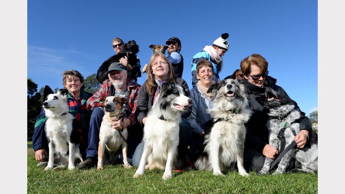 Flyball-ers and their owners at a training session at Summerhill. Picture: Mark Jesser