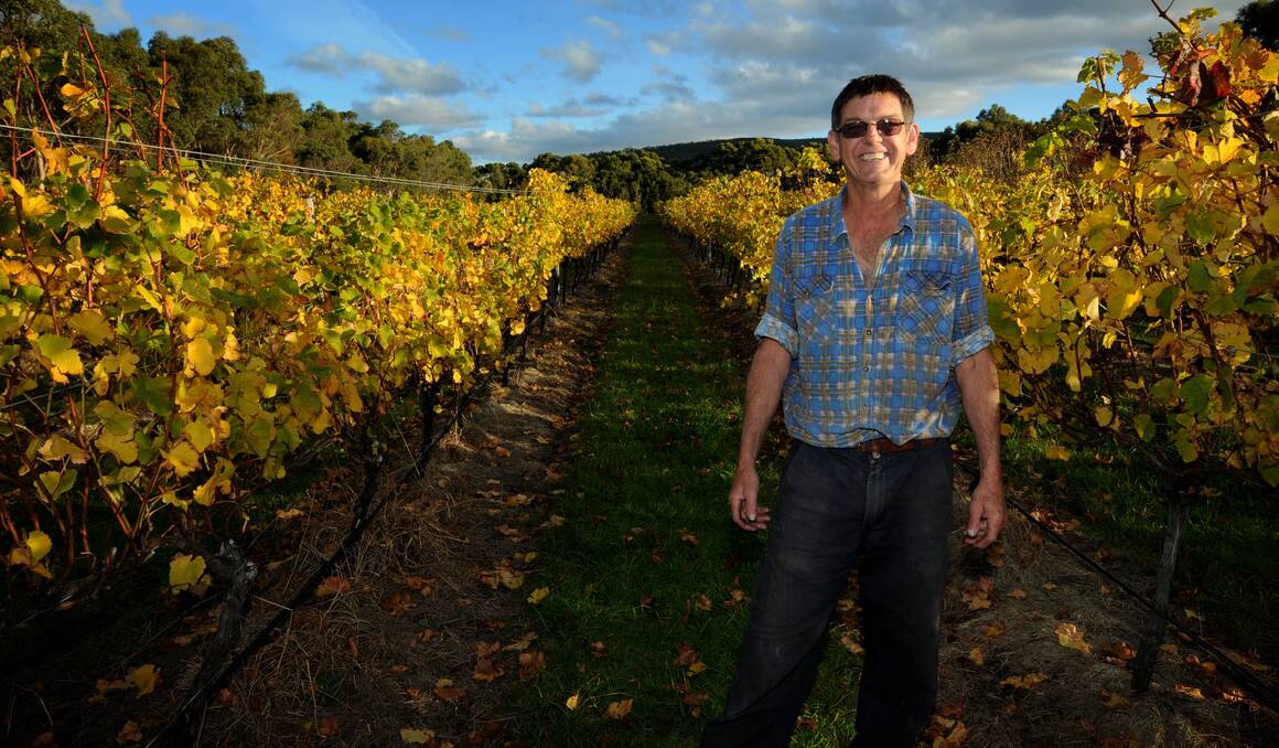 Unavale Vineyard owner Roger Watson is a busy man making wine at the island’s only vineyard, as well as owning the Furneaux Tavern. Picture: Geoff Robson
