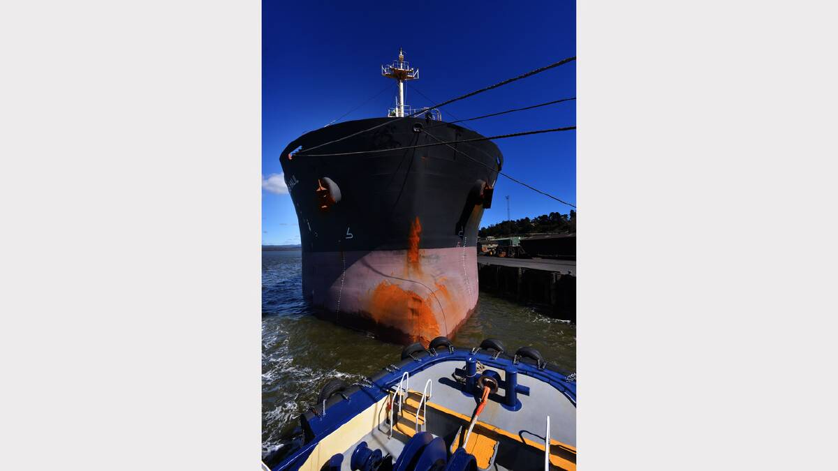 From ship to shore . . . Tug master Larry Wells. Picture: Scott Gelston