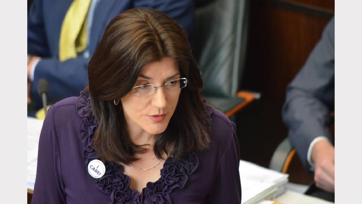 Human Services Minister Jacquie Petrusma said government housing assets transferred to other parties would be protected to ensure value was retained.