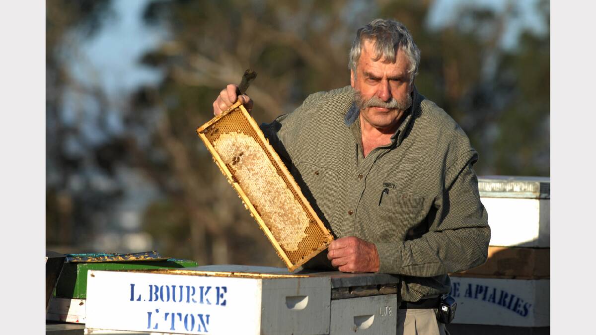 Australian Honey Producers' Lindsay Bourke believes Australia can withstand the threat of the bee mite varroa destructa.