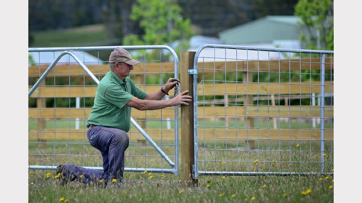 Exeter Showgrounds committee member and Exeter Sheep Dog Club president Allan Middleton with stage one of the new fence around the Exeter Showgrounds. Picture: PHILLIP BIGGS