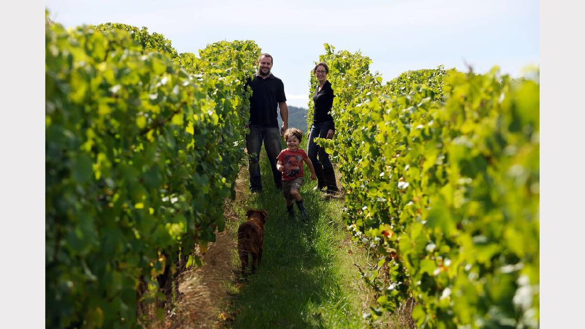 Fran Austin, Shane Holloway and son Zac with their dog Chilli in the Delamere vineyard.