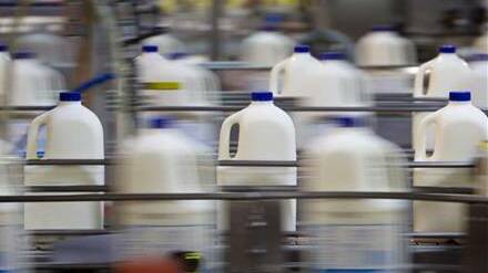 A Brunswick company will face court over charges relating to thousands of litres of spilt milk.