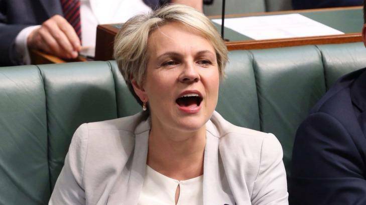 Acting Labor leader Tanya Plibersek wants her party to change its platform on same-sex marriage. Photo: Andrew Meares
