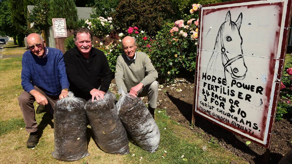 The Anglican Mens Society of  Longford members  Gordon Millar, Jim Keenan and Henry Ivey  with some of the horse manure they sold  to raise the funds for The Examiner Empty Stocking Appeal.
