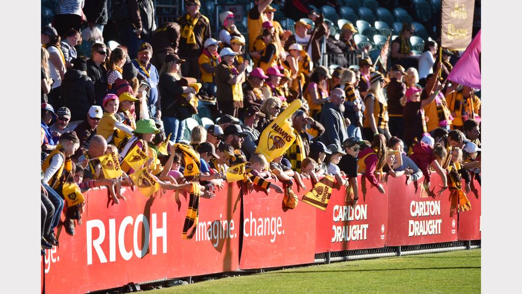 Part of the 15,559 crowd at Aurora Sradium when Hawthorn hosted the Western Bulldogs in round 3. Picture: Brodie Weeding.