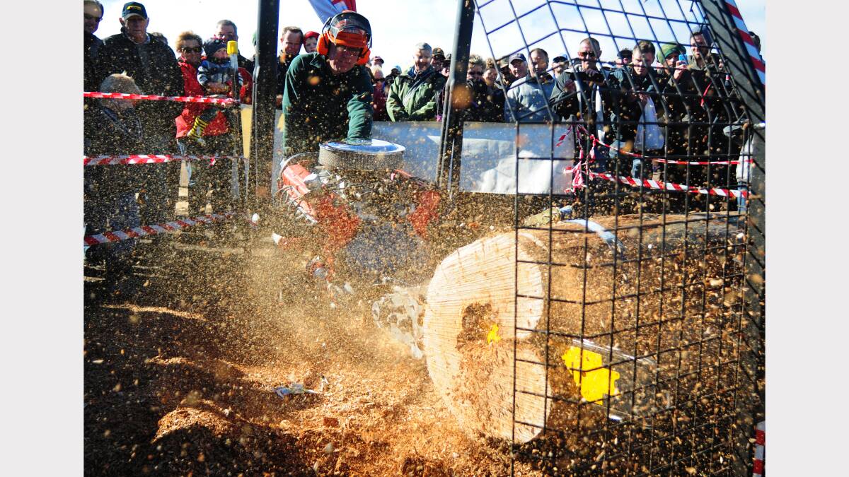 VIDEO: V8 chainsaw in action at Agfest