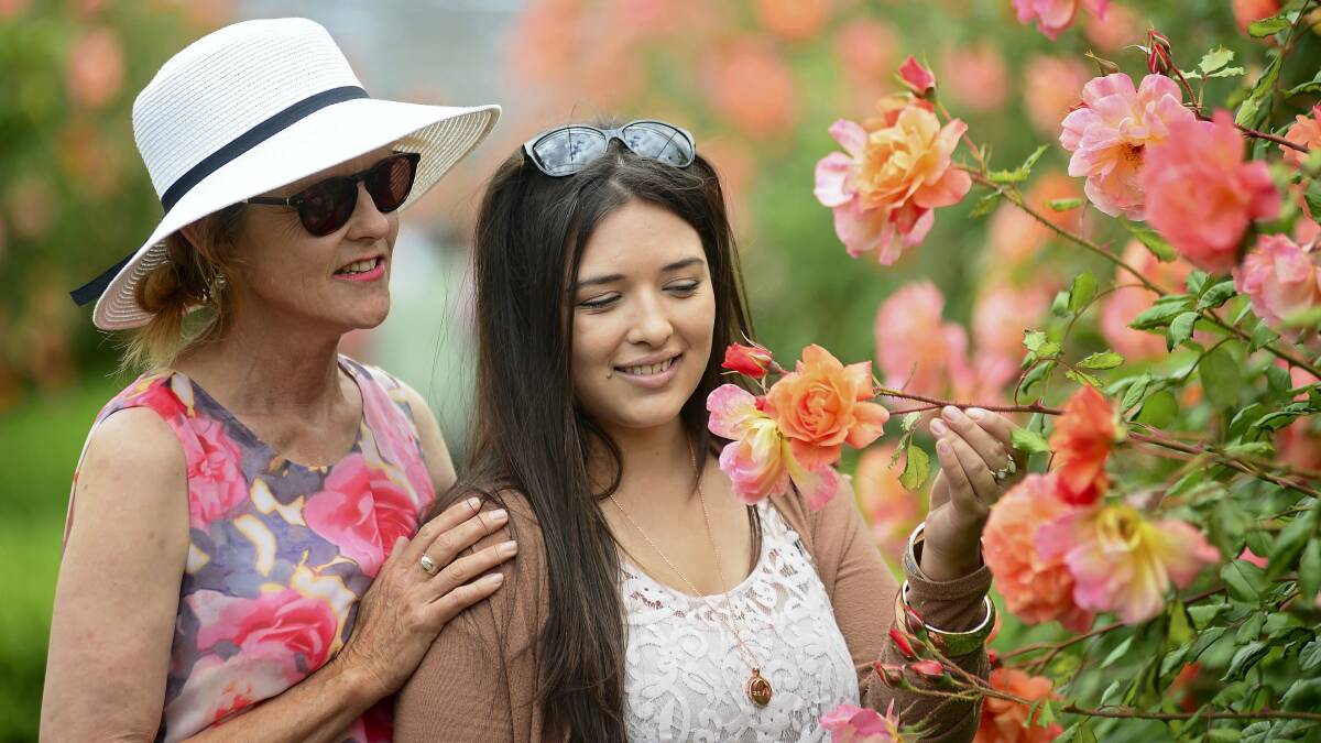 Philippa and Lily Perinski, of Launceston, admire the blooms at the Woolmers Estate Rose Festival. Pictures: PHILLIP BIGGS
