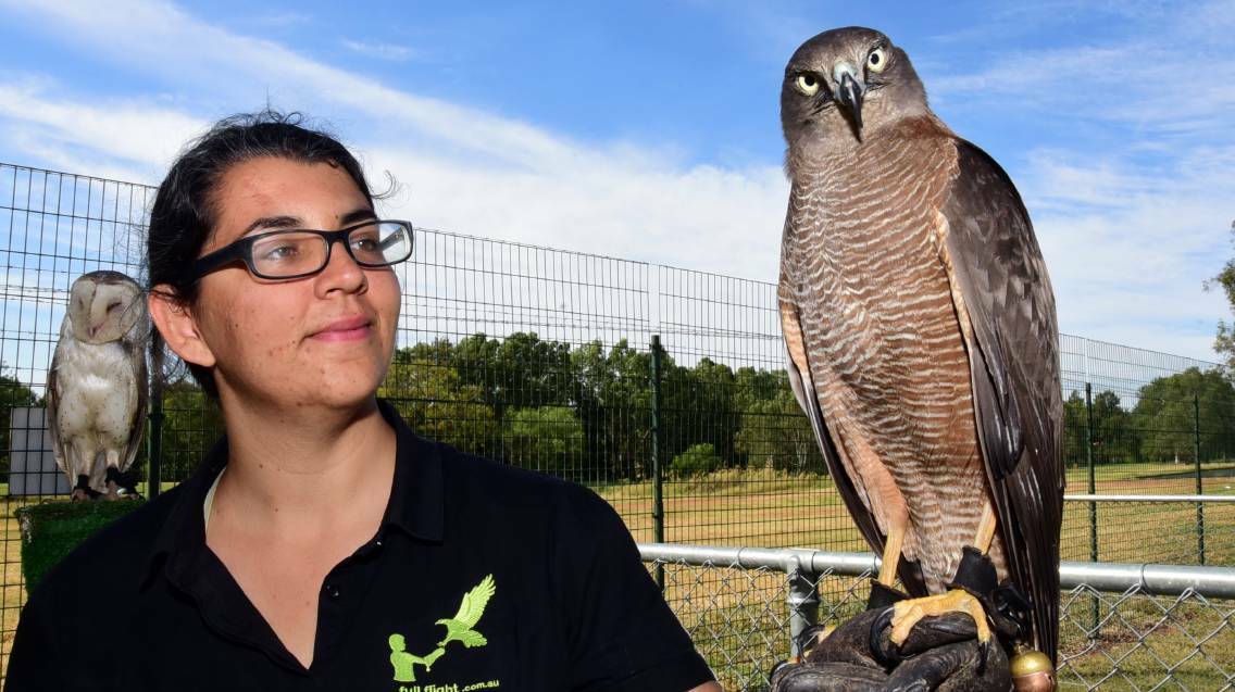 Full Flight Birds of Prey raptor trainer Amber Michalak during her visit with Tilley the brown goshawk, while Lucy the barn owl watches on. Photo: Belinda Soole