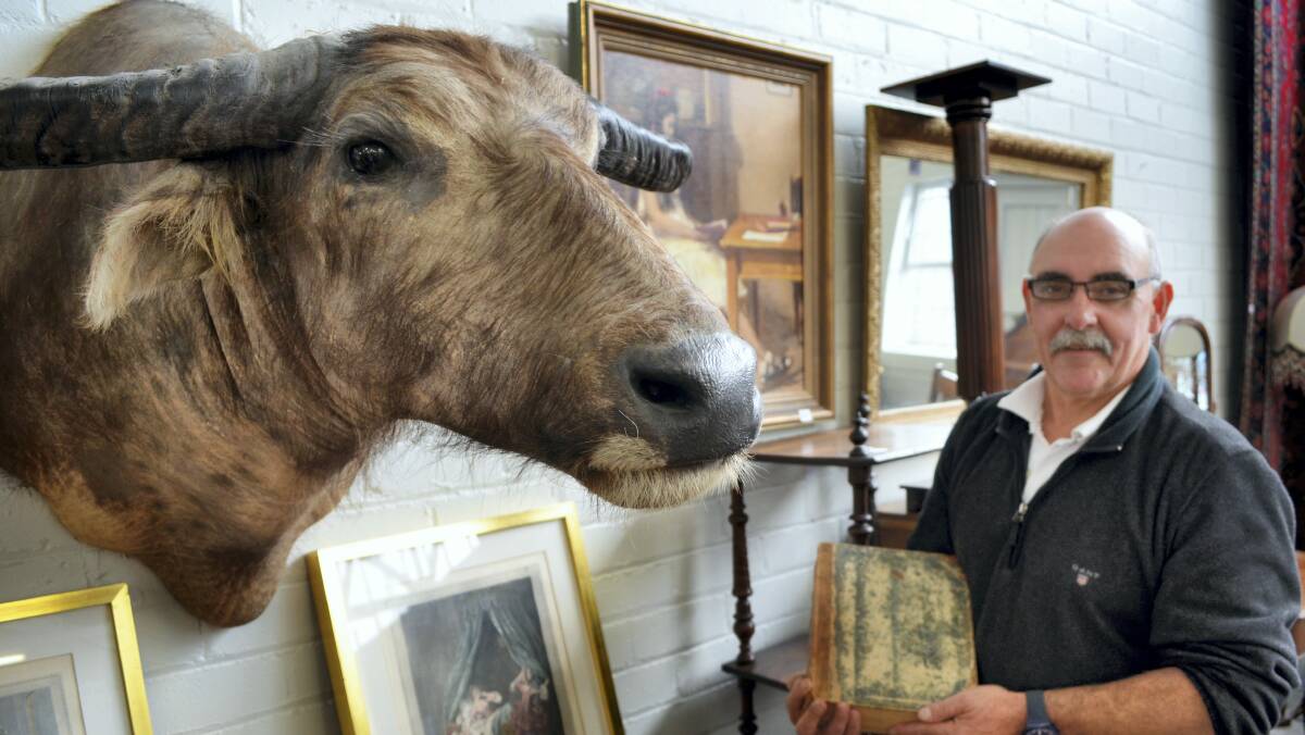 Tullochs Auctions director Scott Millen with a unique fourth edition Encyclopedia Britannica and a water buffalo head up for auction today.