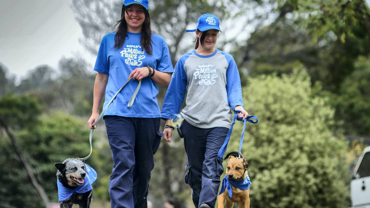 RSPCA animal care attendants Crystal Smith, with Mollie, and Ayla Preston, with Herbie.  Picture: PHILLIP BIGGS