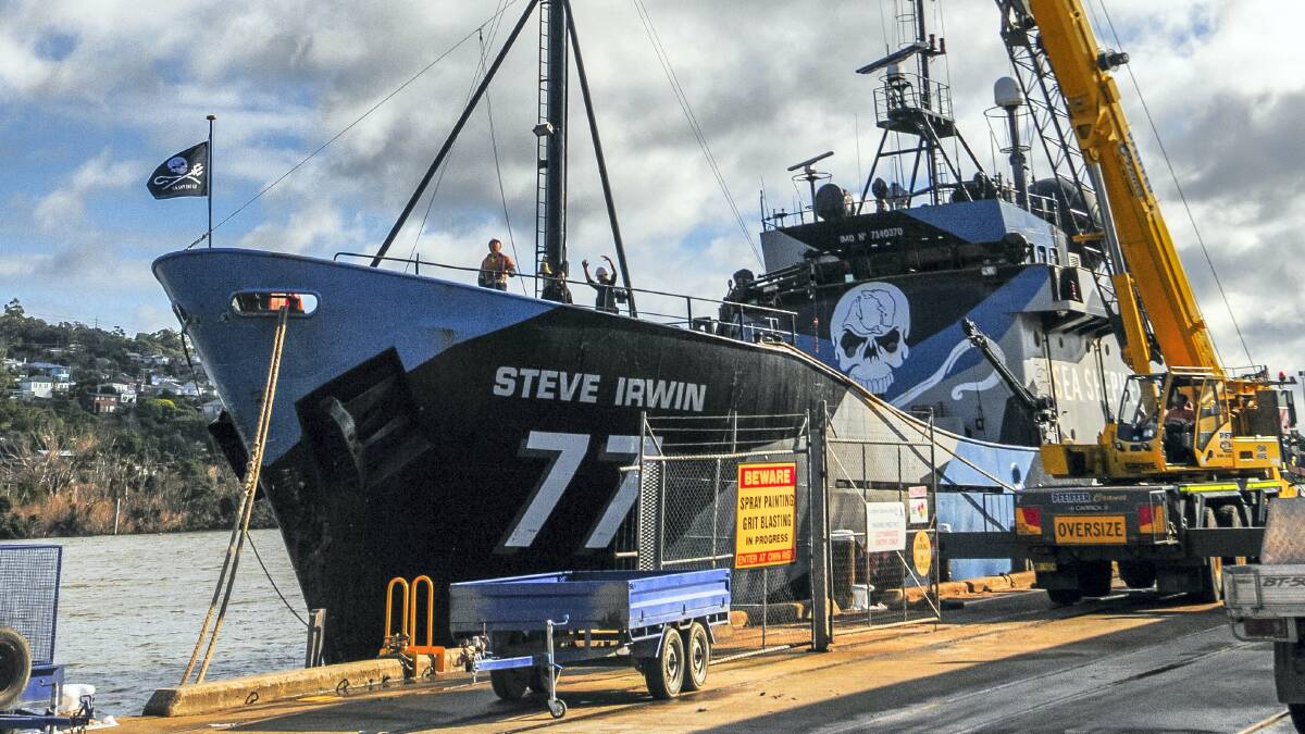 The world-famous conservation ship the Steve Irwin Sea Shepherd is in Launceston for three weeks while it is repaired. Pictures: PHILLIP BIGGS
