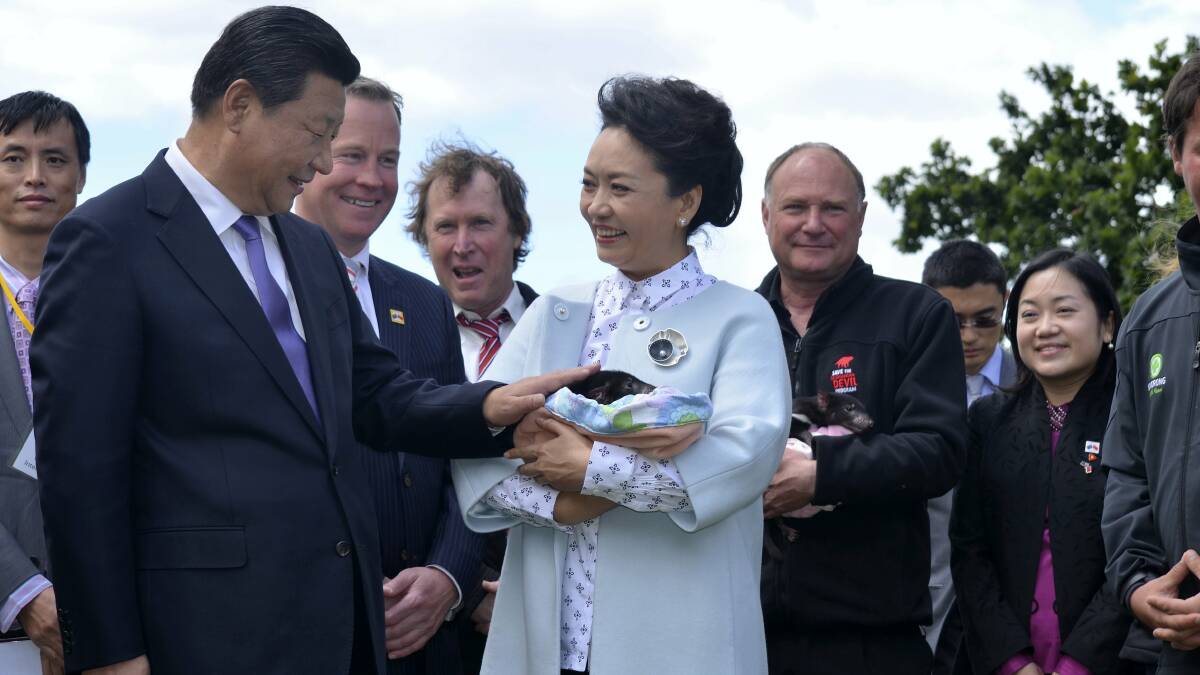 Premier Will Hodgman watches as Chinese President Xi Jinping pats orphaned Tasmanian devil joey Lulu, held by his wife Madame Peng Liyuan in Hobart yesterday. Picture: Georgie Burgess