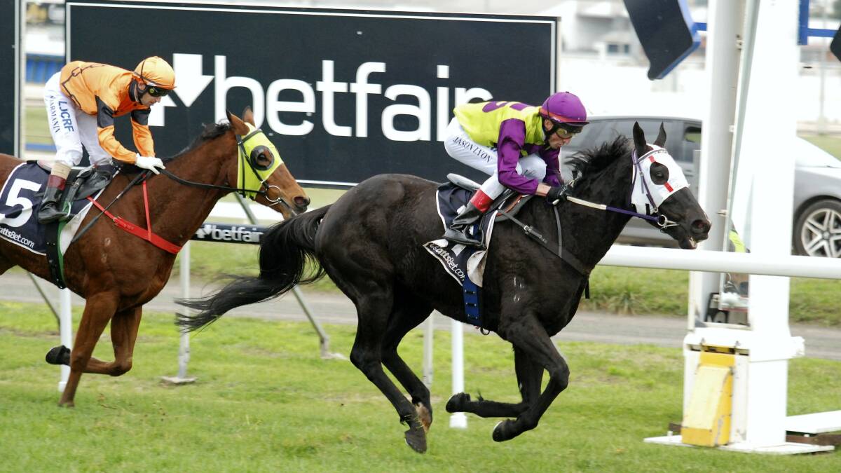 Geegees Blackflash, ridden by Jason Lyon, brings up his 19th career win in the $30,000 St Leger at Mowbray yesterday. Picture: PETER STAPLES