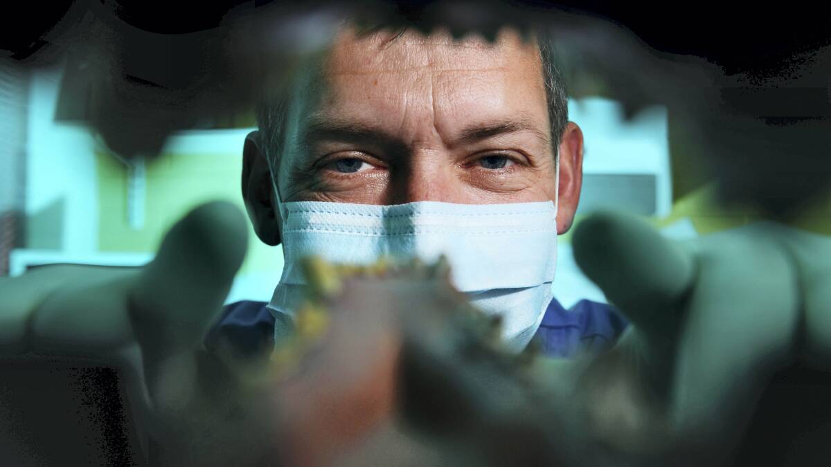 Animal Medical Centre veterinarian David Allen looks through a mould of a canine jaw as he discusses the strange objects that animals eat.  Picture: SCOTT GELSTON