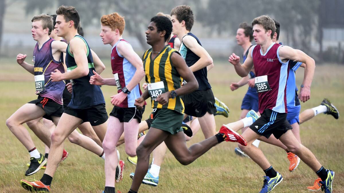 St Patrick’s College runner Getasew Ferguson  moves through the field on his way to winning the under-17  title