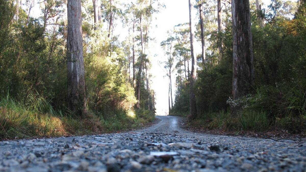 Funding lacking for forest roads