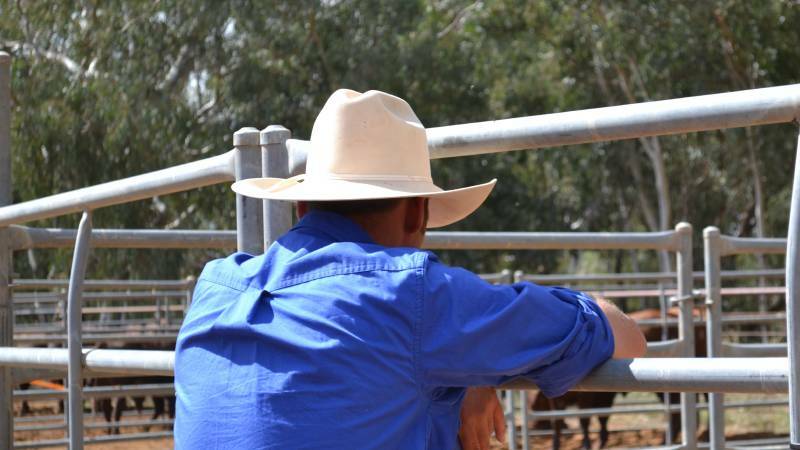 Dakang Australia and Australian Rural Capital have withdrawn current plans to buy Kidman and Company's huge outback pastoral estate.