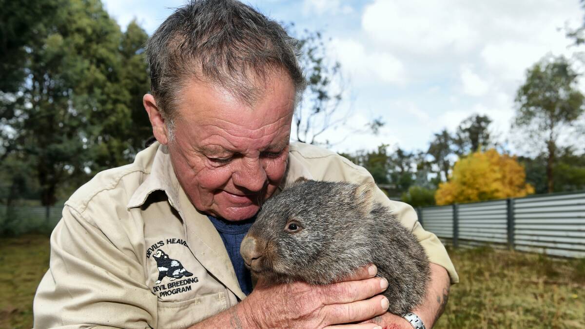 Tasmania Zoo owner Dick Warren with five-month-old  common wombat, Digger.

 Picture: MARK JESSER
