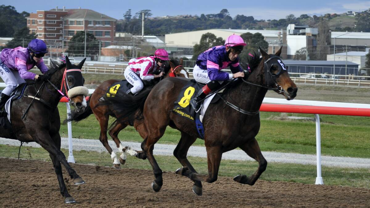 Brother and sister Sounds Like Fun (Ismail Toker) and So Much Fun (Raquel Clark) were part of a big day for their owners when they ran the quinella at Spreyton on Saturday. Picture: GREG MANSFIELD
