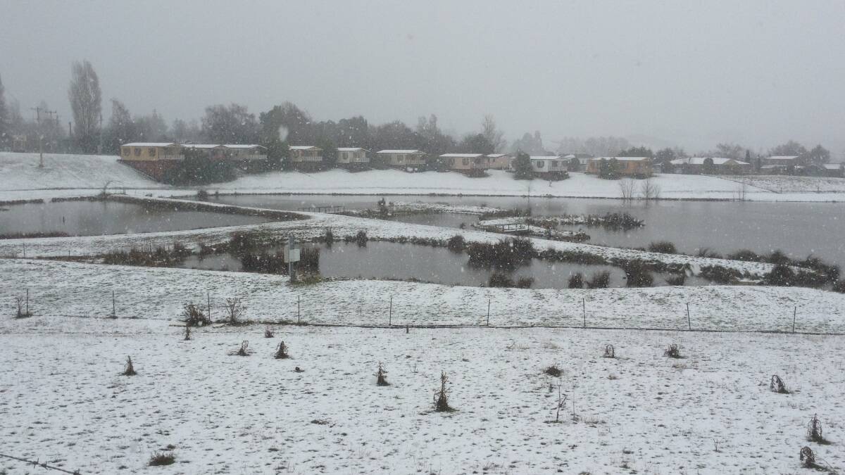 Prospect, Kings Meadows, Deloraine among areas hit by ice, snow | Photos