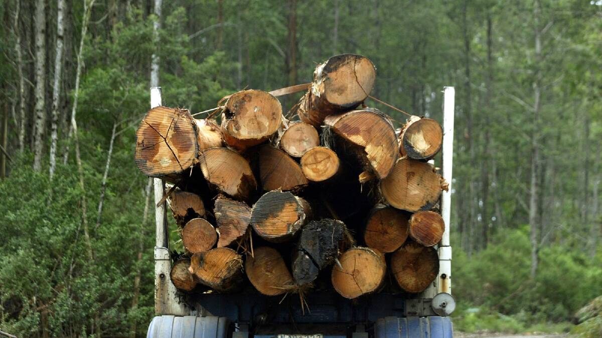 Forestry Tas triples loss