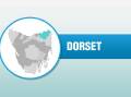 DORSET: Jessup likely to fill deputy role