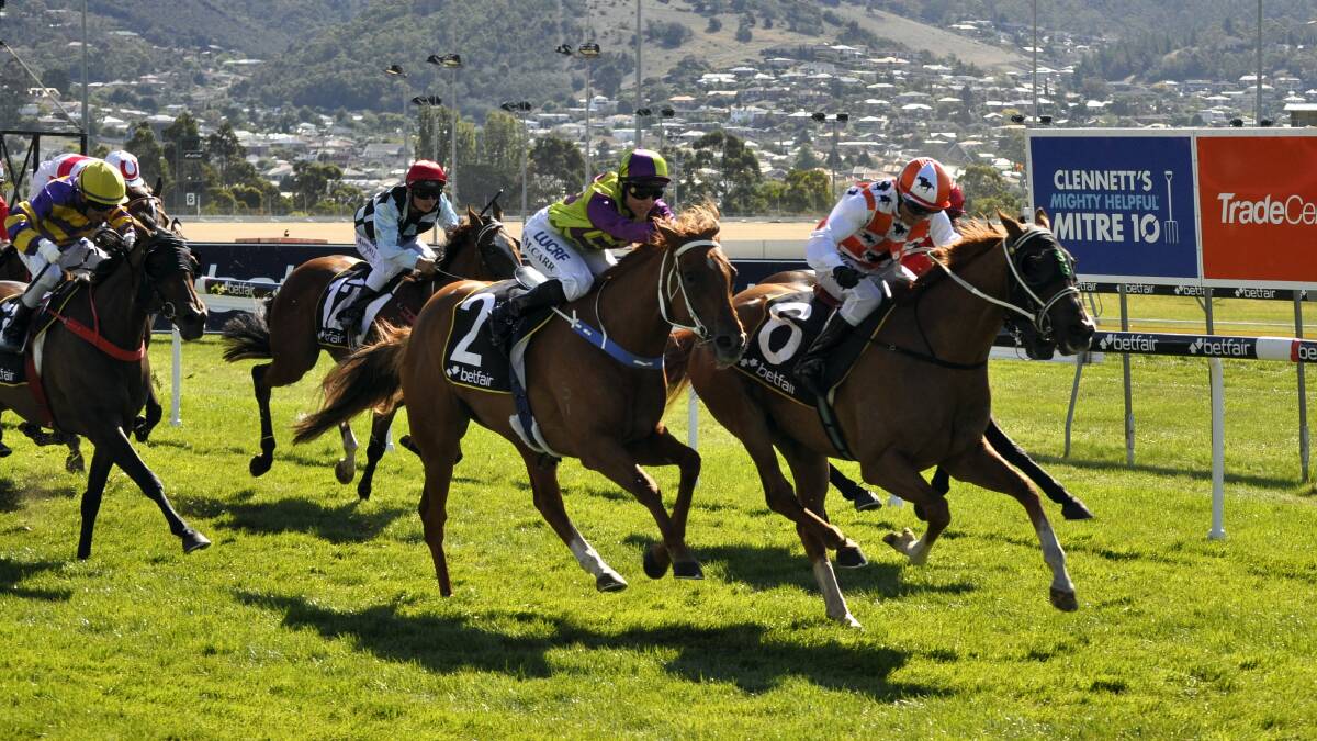 Up Cups, ridden by David Pires, holds out Geegees Goldengirl, ridden by Siggy Carr,  in an all-Tasmanian finish in Monday’s $200,000 Hobart Cup at Elwick.