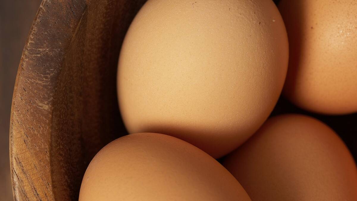 RSPCA slams government egg decision 