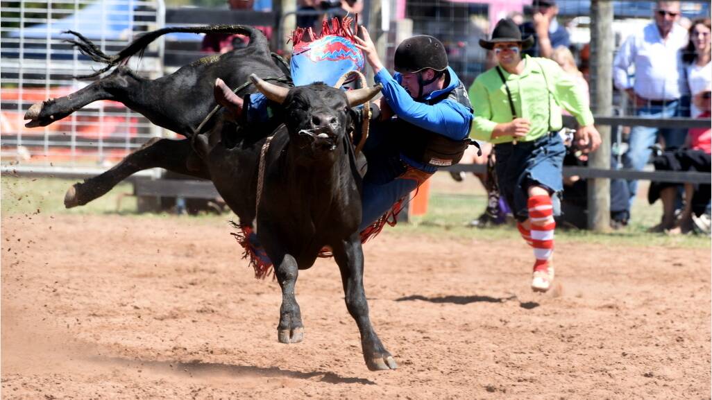 Ross Rodeo | Pictures