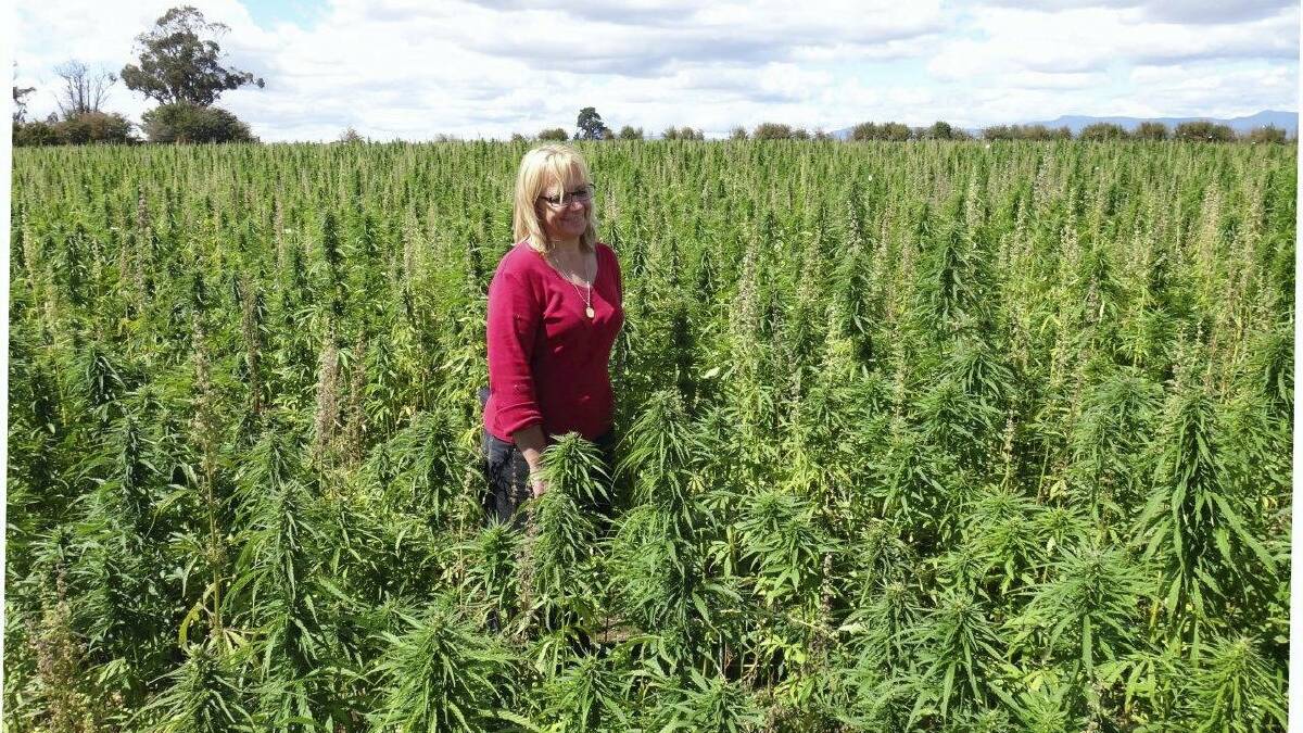 Hemp Australia state manager  Lisa Estreich has been pushing for hemp for food to be approved for more than 16 years.