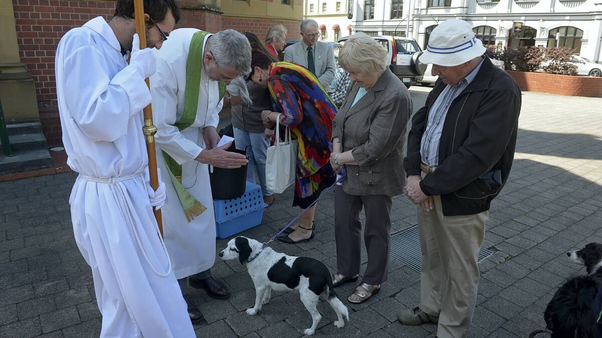 Crucifer Dean Richardson accompanies Father Warwick Cuthbertson as he  blesses  Ben, who belongs to Ray and Pam Deamer, of Mowbray, at the  Blessing of the Pets ceremony at Holy Trinity Anglican Church, Launceston. Picture: PHILLIP BIGGS