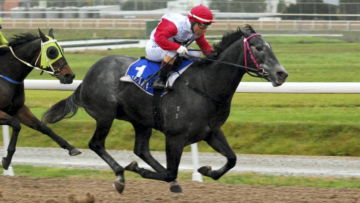 Classic Outlaw, ridden by Erhan Kacmaz, wins at Spreyton yesterday. Kacmaz later completed a double when he dead-heated in the Easter Cup.  Picture: TASRACING