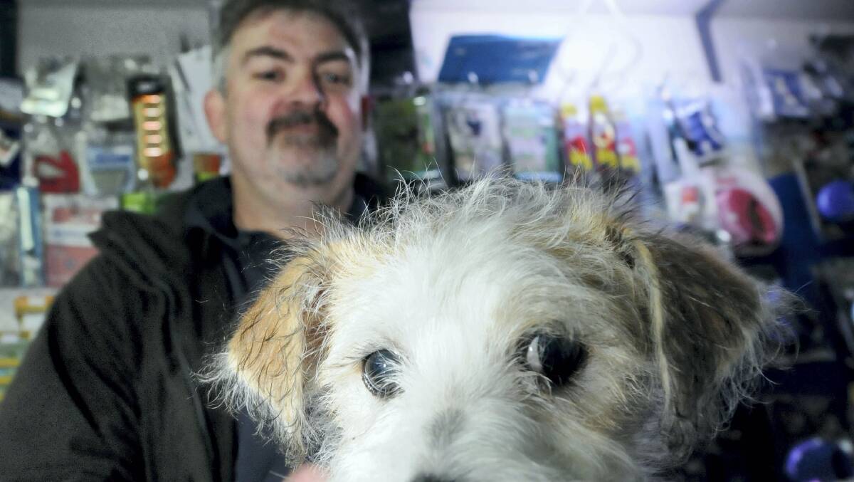 Petland owner Brent Worsley with Rusty, one of the pups for sale at his shop.  Picture: GEOFF ROBSON
