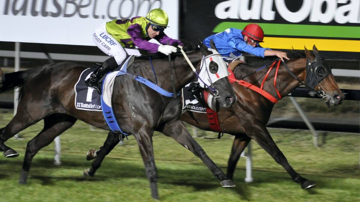 Geegees Blackflash (outside), ridden by Siggy Carr, wins at Mowbray last month. He is likely to be equal topweight with Akzar for the Hobart Cup.  
