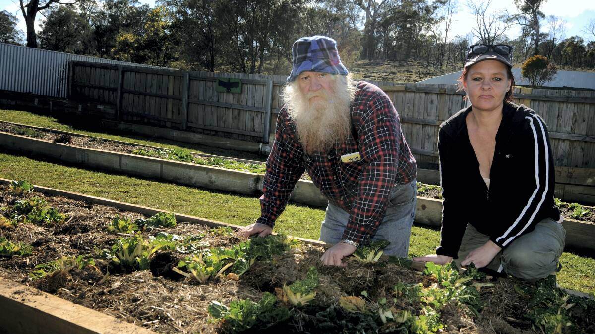 Garden organiser Peter Richards and volunteer Kara Wisniewski inspect the damage done by escapee cows at Ravenswood. Picture: GEOFF ROBSON