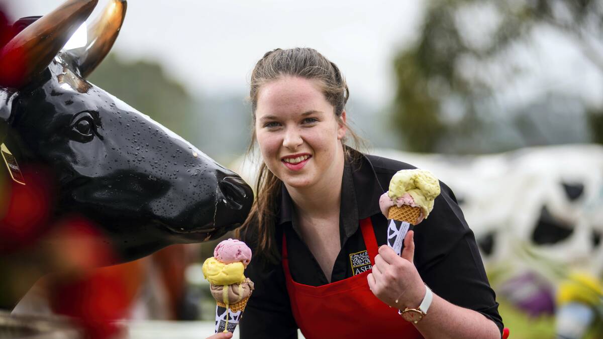 Ashgrove Cheese events team member Jess Wall is ready for the Taste of Tasmania.  Picture: PHILLIP BIGGS