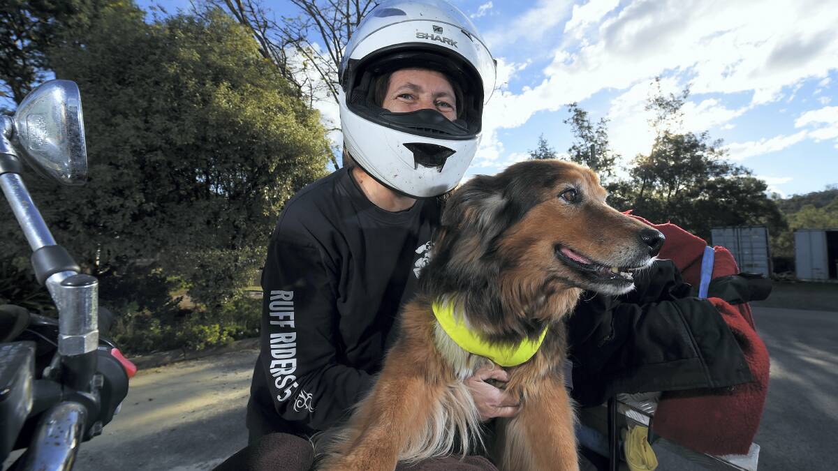 Carolynn Jamieson, of Devonport, and her dog Samantha take part in the Roars for Paws RSPCA fund-raiser. Picture: MARK JESSER
