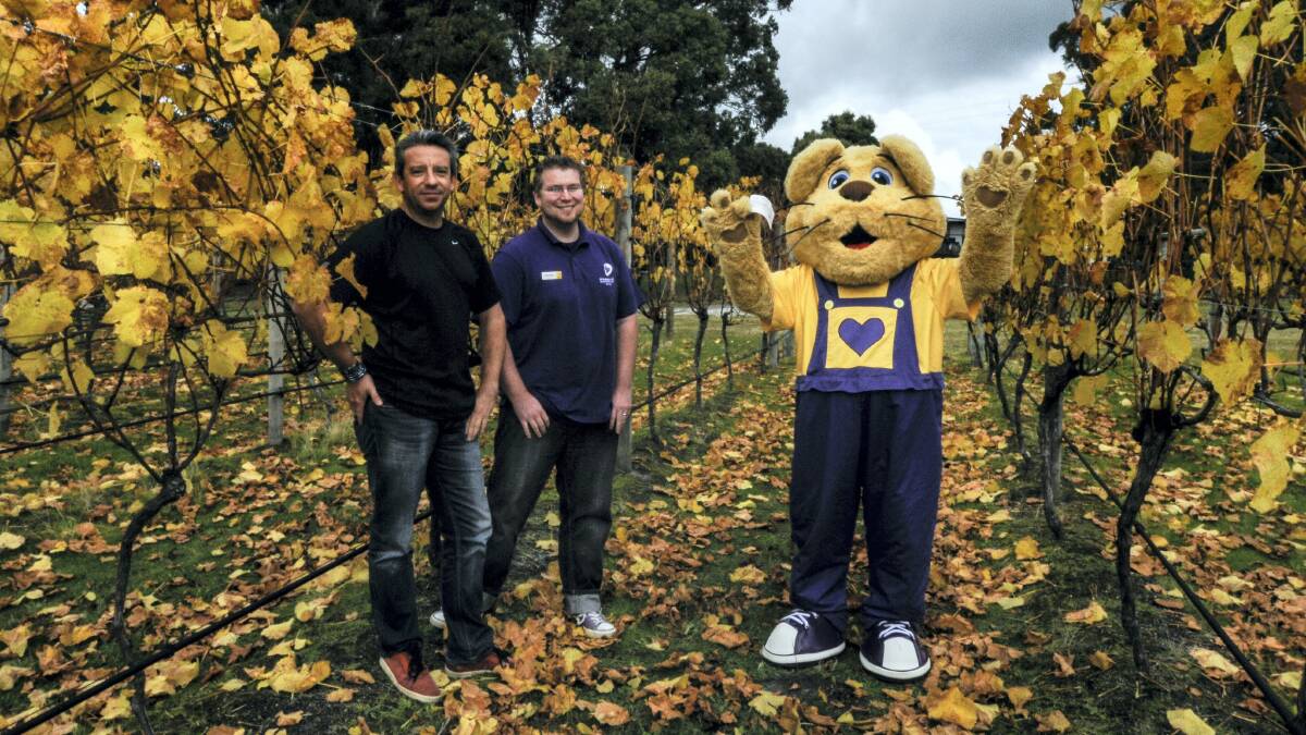 Goaty Hill co-owner Markus Maislinger, Bravehearts education co-ordinator Aaron Moir and Bravehearts mascot Ditto the Lion holding the cheque. Picture: NEIL RICHARDSON