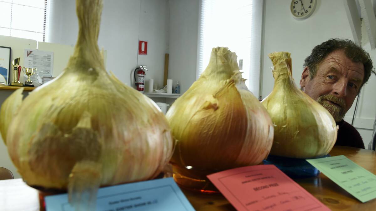 James Riley, of Gravelly Beach, placed 1st, 2nd and 3rd in the Largest Onion section. Picture: MARK JESSER