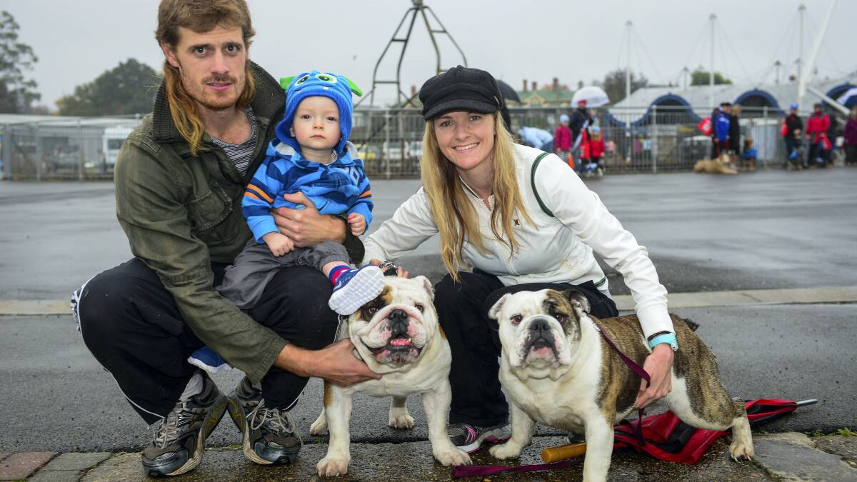 Jarrad, Kylie and Jago Cirkel, 1, of Legana, with Jax and Fergie. Picture: SCOTT GELSTON