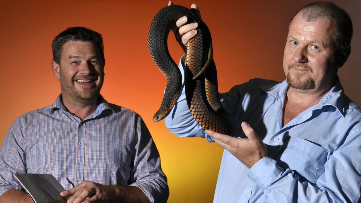 QVMAG natural sciences curator David Maynard and QVMAG honorary associate Simon Fearn with Mr Fearn’s new book and a captive bred male copperhead snake.  Picture: SCOTT GELSTON
